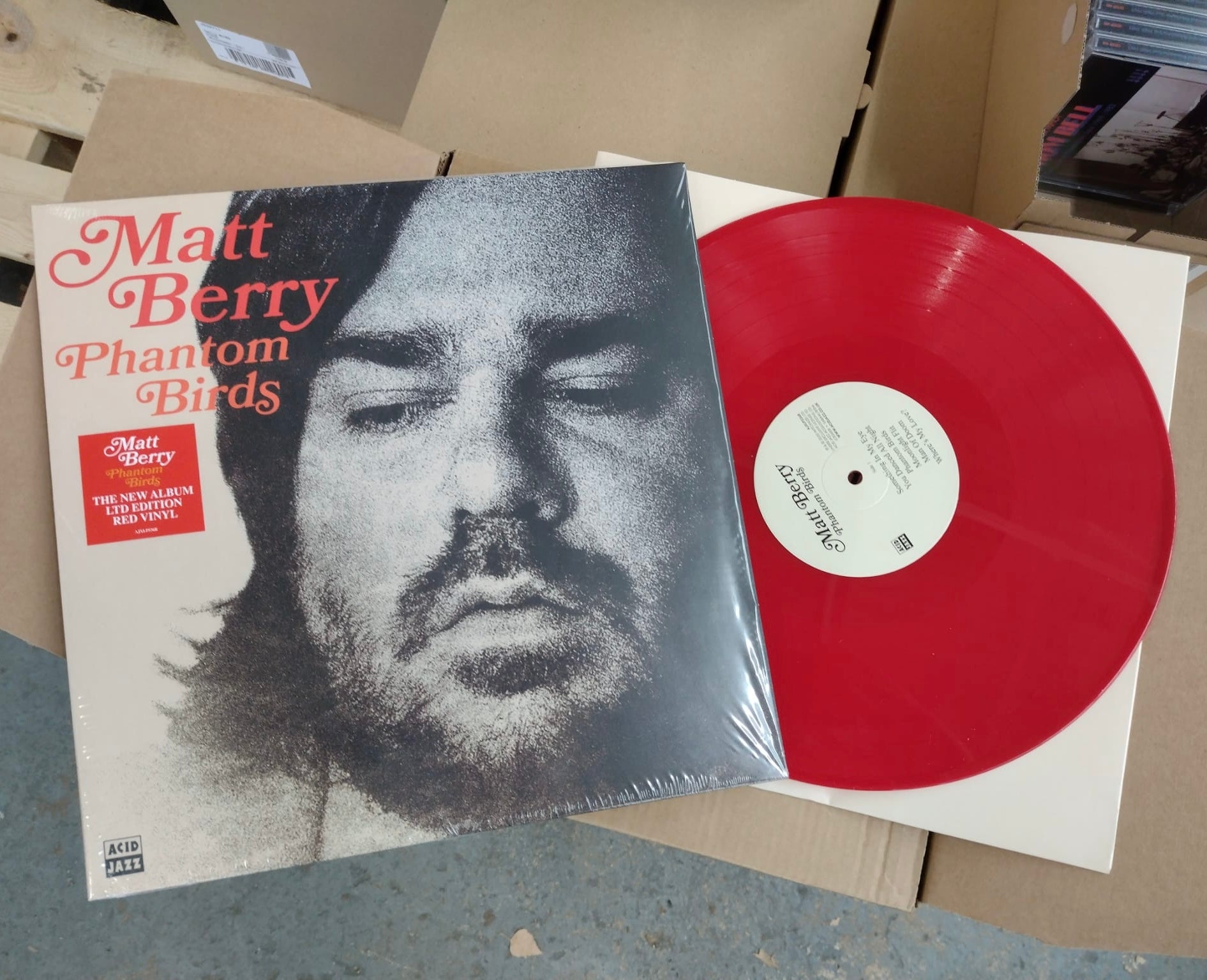 Matt Berry - Phantom Birds