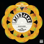 The James Taylor Quartet - 'Wildflower' / 'Guiding Light' (7" Vinyl)