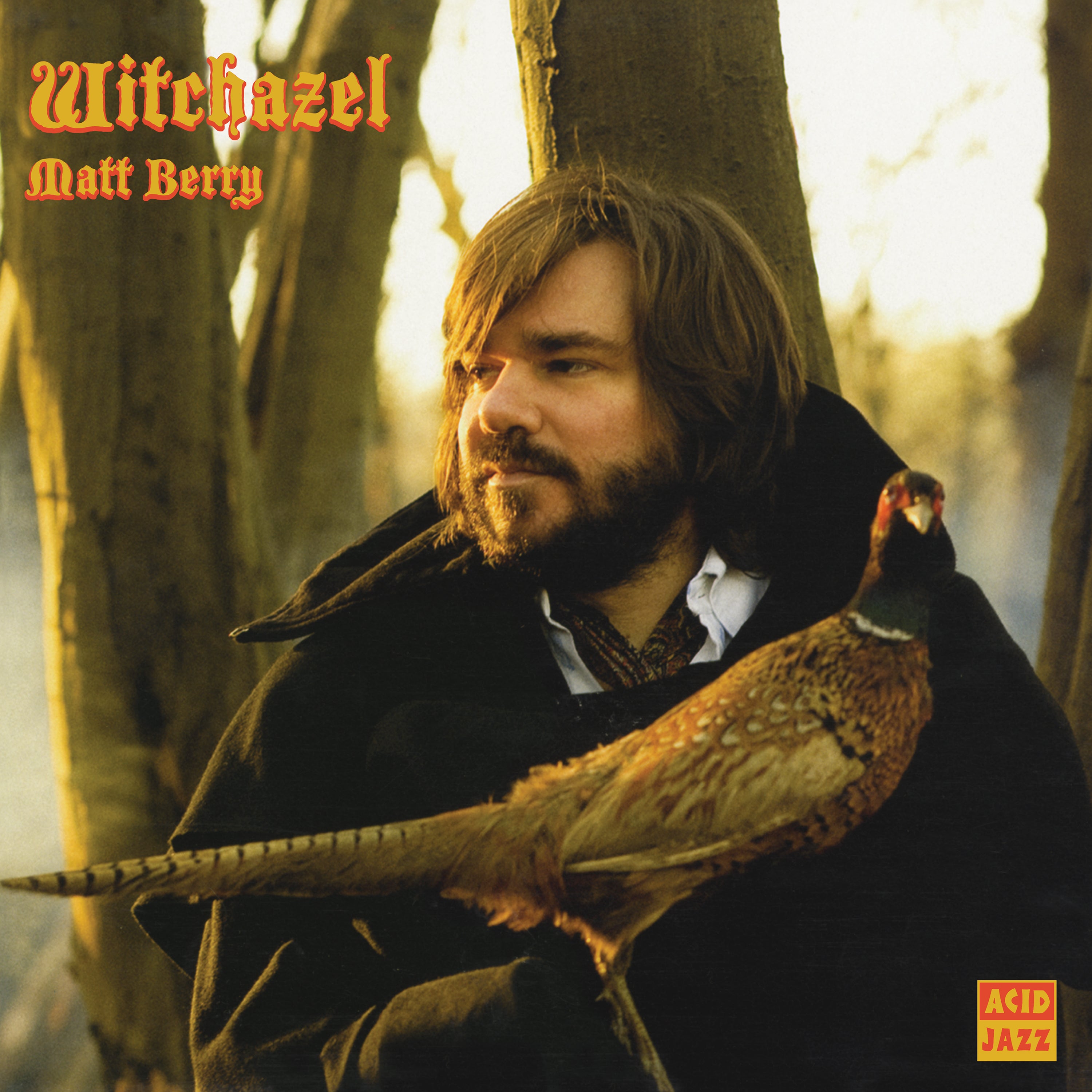 Matt Berry - Witchazel (Black Vinyl Repress)